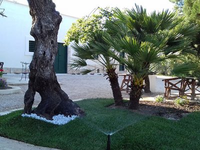 Fiorenta-Location-14